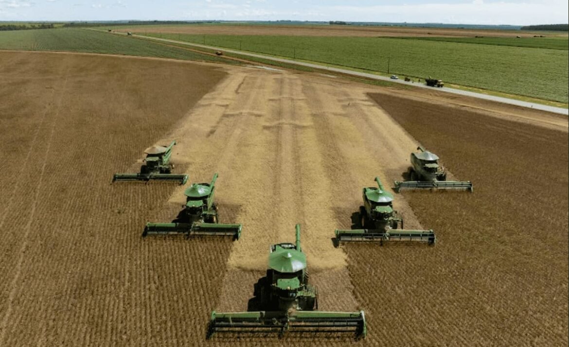 SLC Agrícola (SLCE3) não teme competição no mercado chinês.