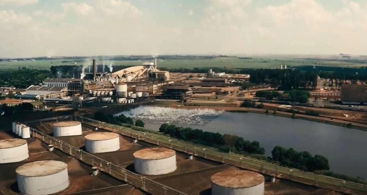 São Martinho (SMTO3) registra aumento superior a 3% e se destaca nas valorizações do Ibovespa (IBOV) após indicação do Citi.