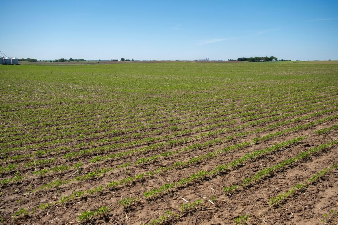 Agro dos EUA critica o agro brasileiro em investigação da Casa Branca | Blogs | CNN Brasil
