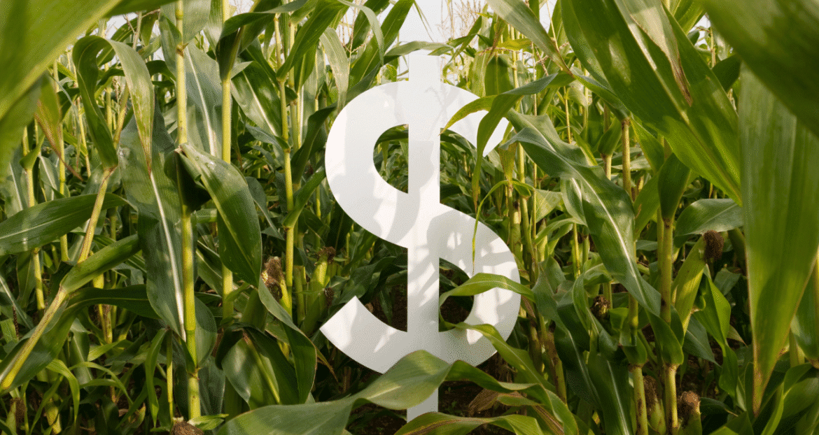 Fundo imobiliário vende fazenda e anuncia lucro de R$ 0,72 por cota.