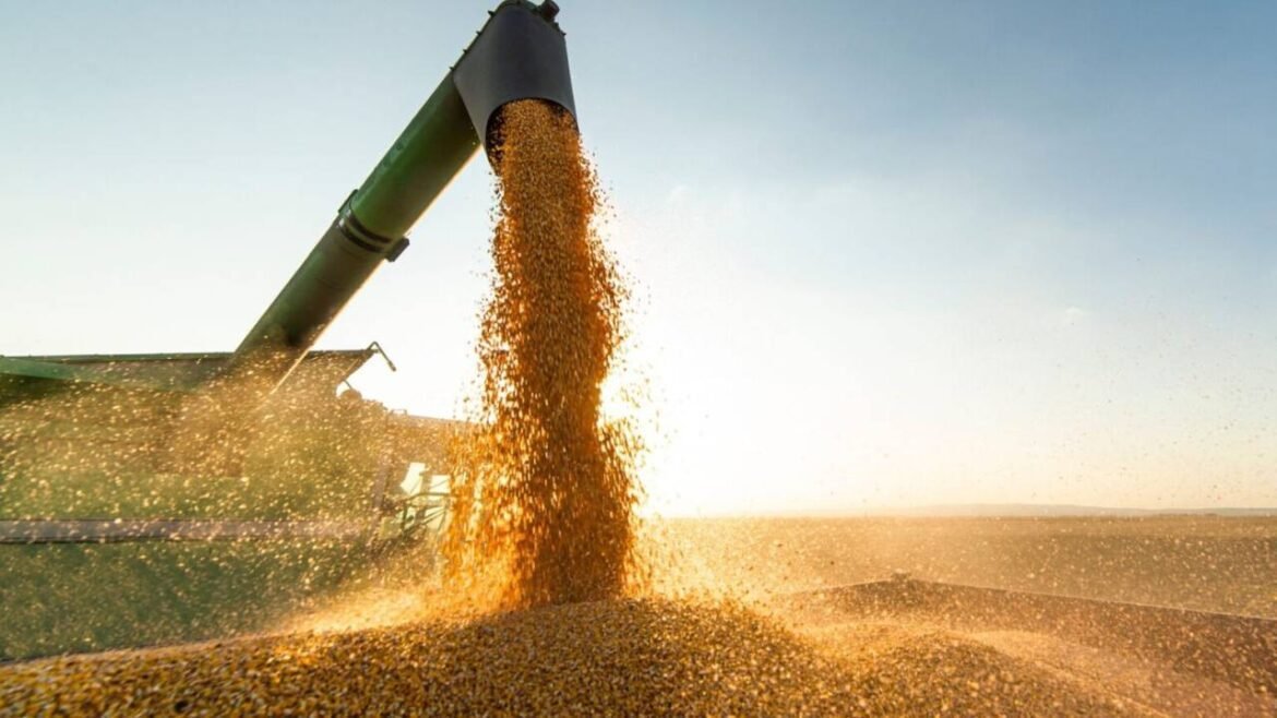 Na Bélgica, delegação feminina do Brasil marca presença em cúpula do agronegócio.