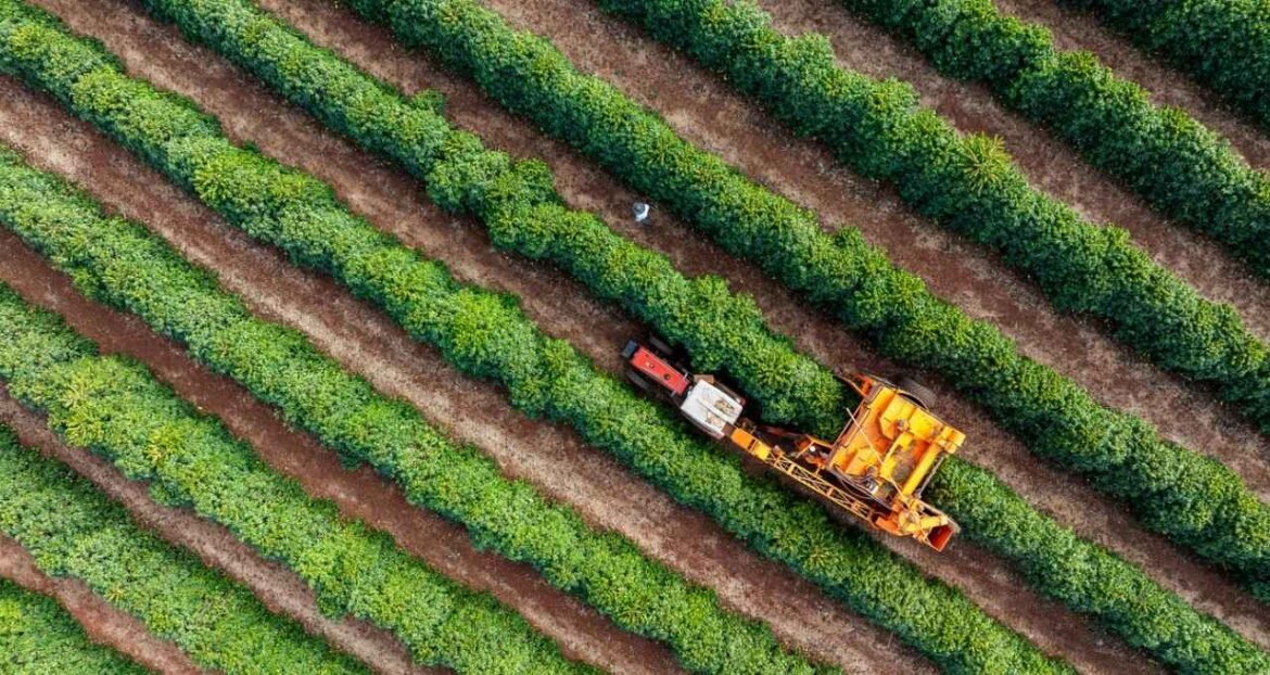 TAG Investimentos apresenta Fiagro personalizado com cartão de crédito para agricultores.