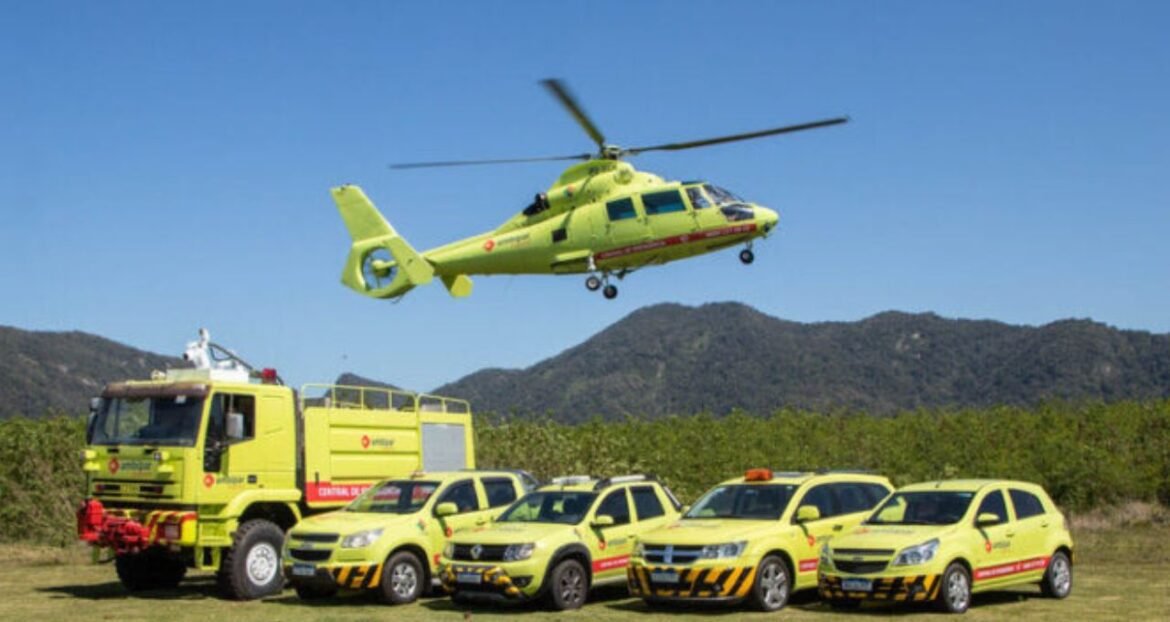 A ação despenca 38% nesta sexta-feira.