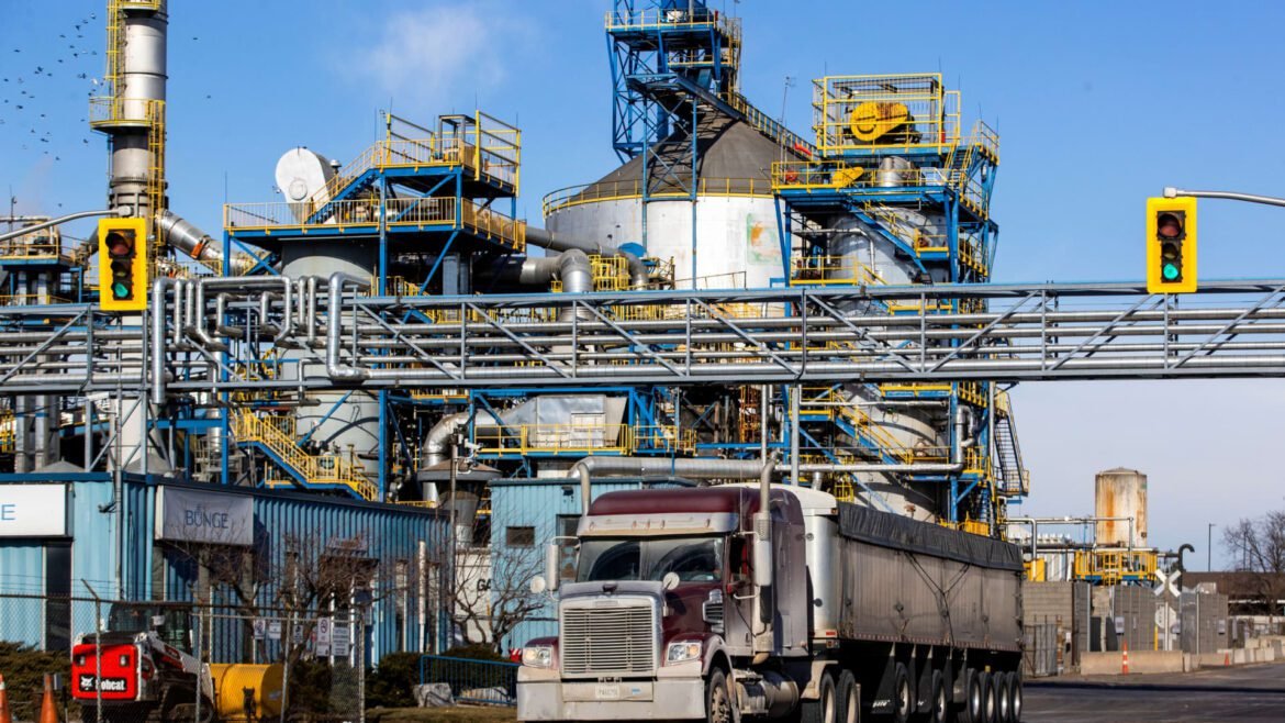 Ações da Bunge disparam após Trump considerar embargo de óleo de cozinha da China.