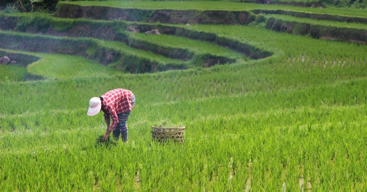 Agro estima que será necessário investir R$ 4,9 bilhões em estradas rurais.