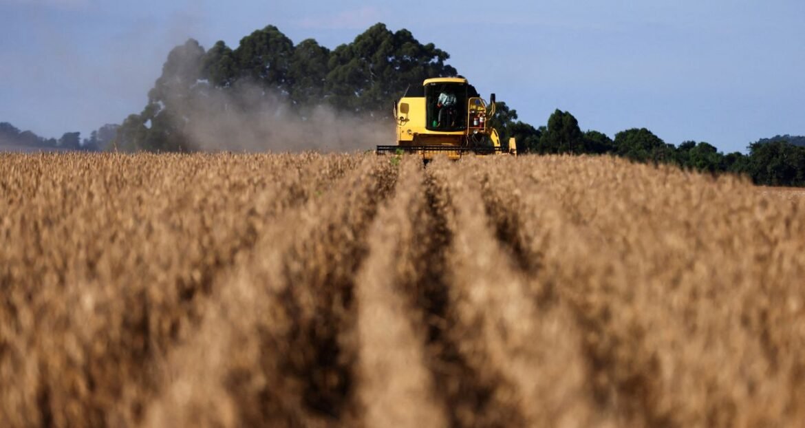 China adia compras de soja devido aos altos preços do Brasil, afirmam traders.