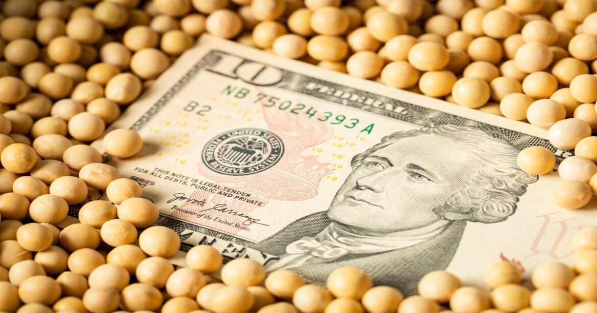 China se compromete a aumentar o comércio agrícola com os EUA; Trump afirma que Pequim comprará grandes quantidades de soja.