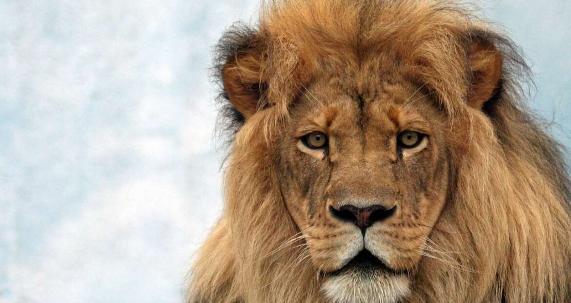 No Brasil, LCIs, LCAs, FIIs, Fiagros e debêntures continuam isentos de Imposto de Renda, e a EQI indica a possibilidade de lucro de até 17% ao ano.