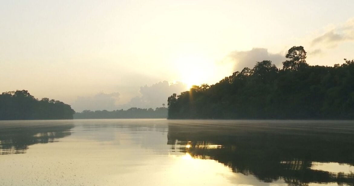 O que é a Margem Equatorial e qual a sua relevância para a Petrobras?
