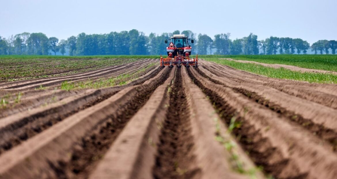 O que os dados e os acontecimentos ainda revelam no Brasil.