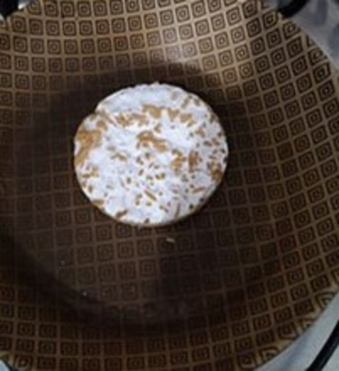 Trocar carne por cogumelos? Estudo indica que ‘novo alimento’ pode ser uma opção futura.