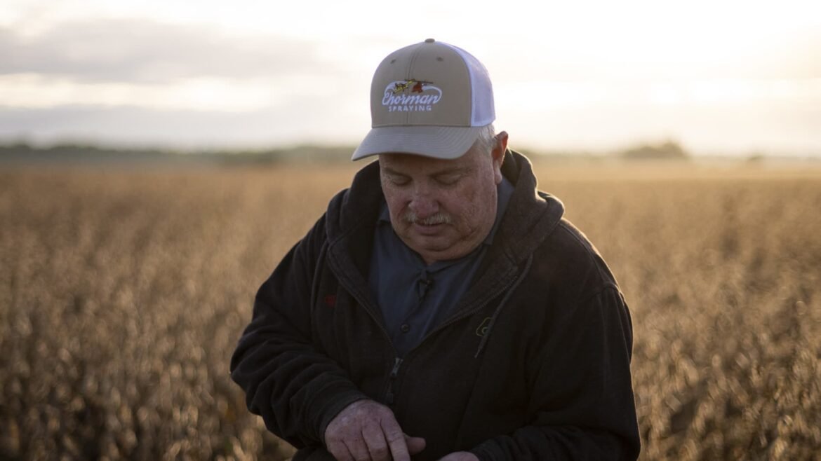 A China está afogada em soja, enquanto agricultores americanos se afundam em frustração.