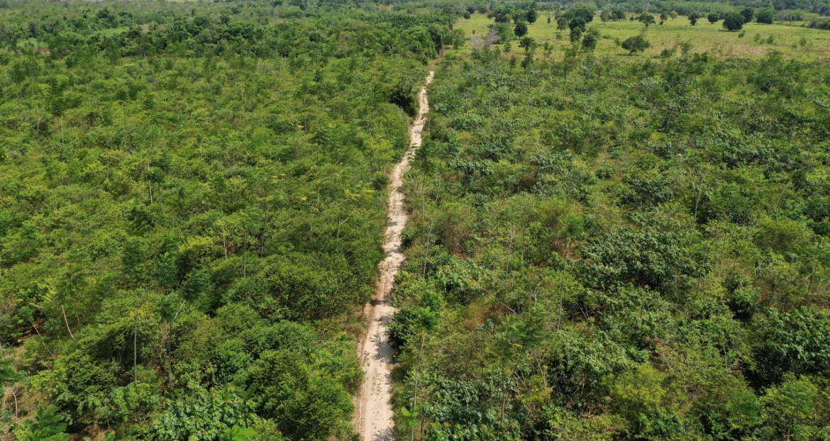 Congresso Revoga Vetos da Nova Lei de Flexibilização Ambiental