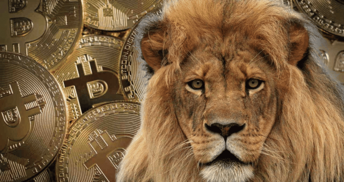 Entenda as mudanças nas regras da Receita Federal para criptomoedas.