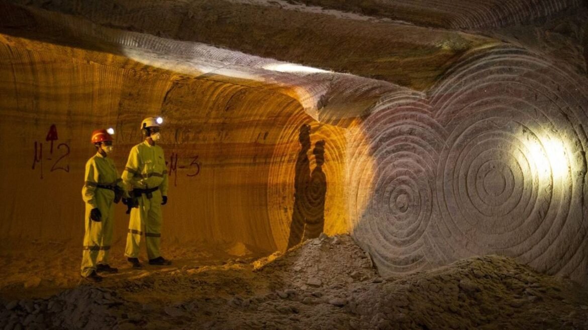 Irmã de Wesley e Joesley Batista conquista a única mina de potássio do Brasil