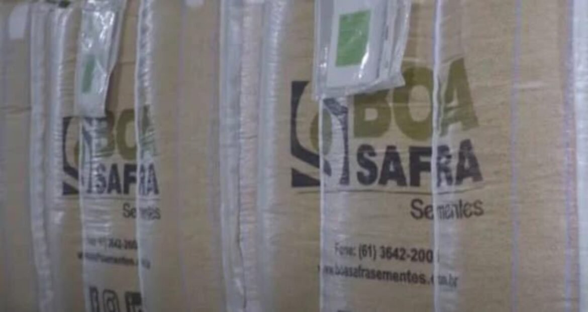 Lucro da Boa Safra (SOJA3) cresce 26% e alcança R$ 67,8 milhões no 3T25