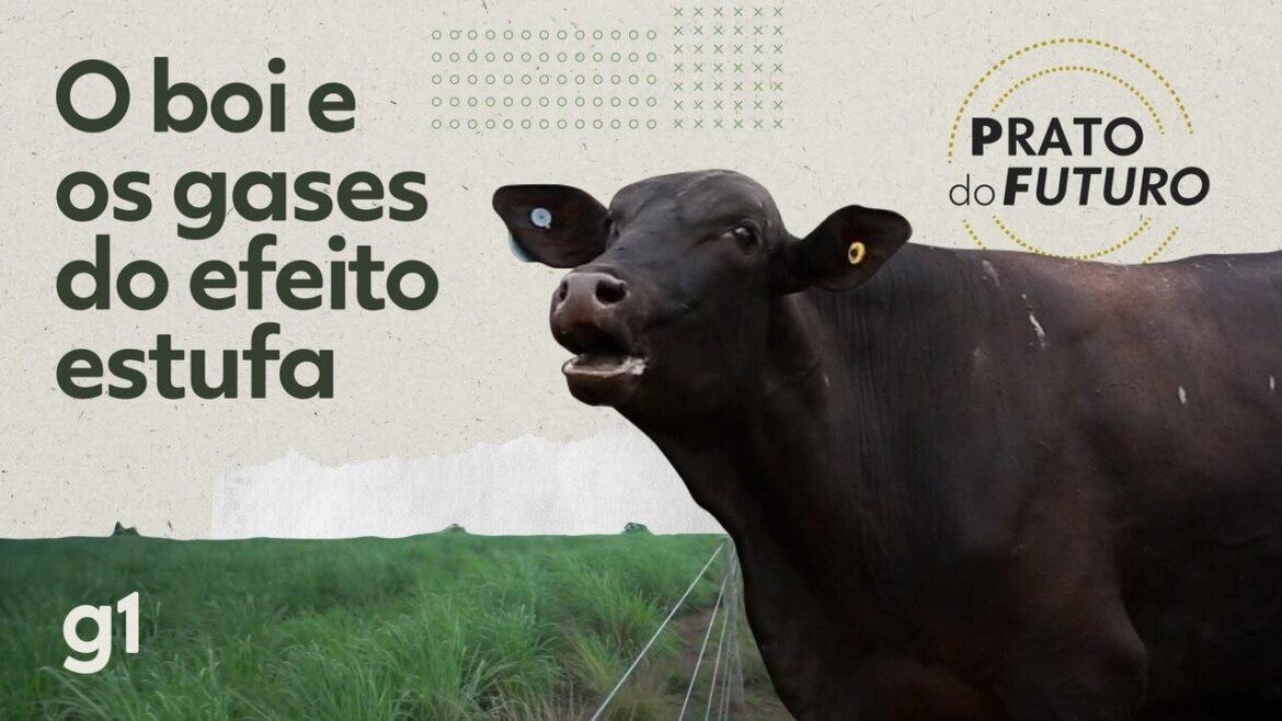 Menos emissão de metano: descubra o sistema inovador da Amazônia que faz a diferença.