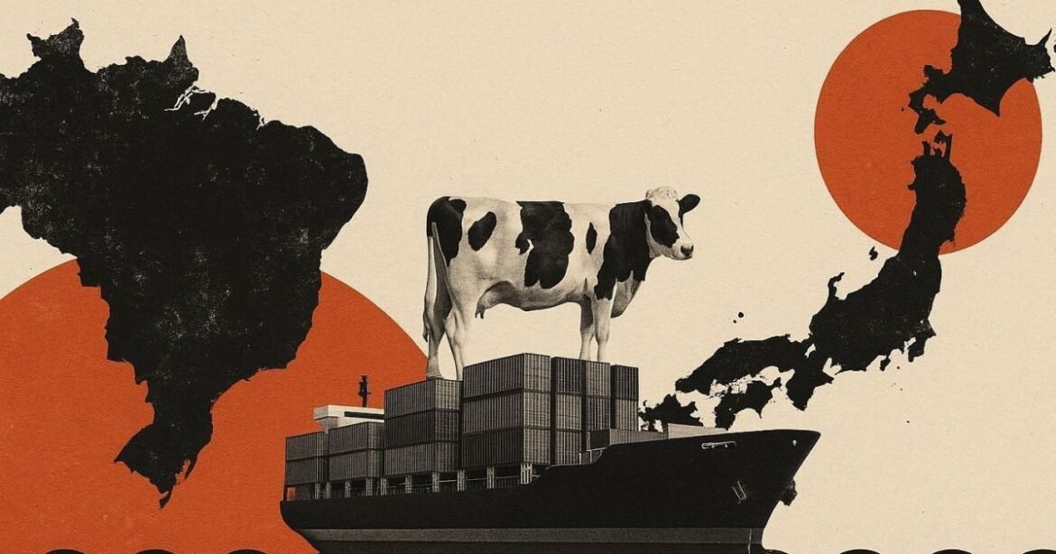 Missão do Japão realizará auditoria final para liberar exportação de carne bovina do Brasil