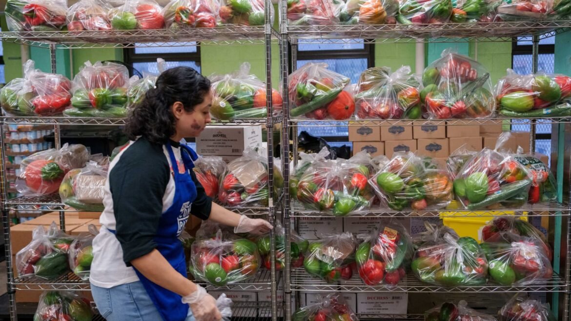 Os EUA desperdiçam $400 bilhões em alimentos a cada ano.