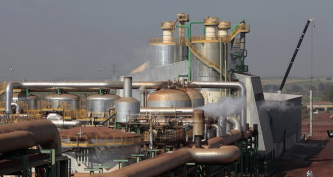 São Martinho (SMTO3) se destaca no setor de etanol com preços do açúcar em queda.