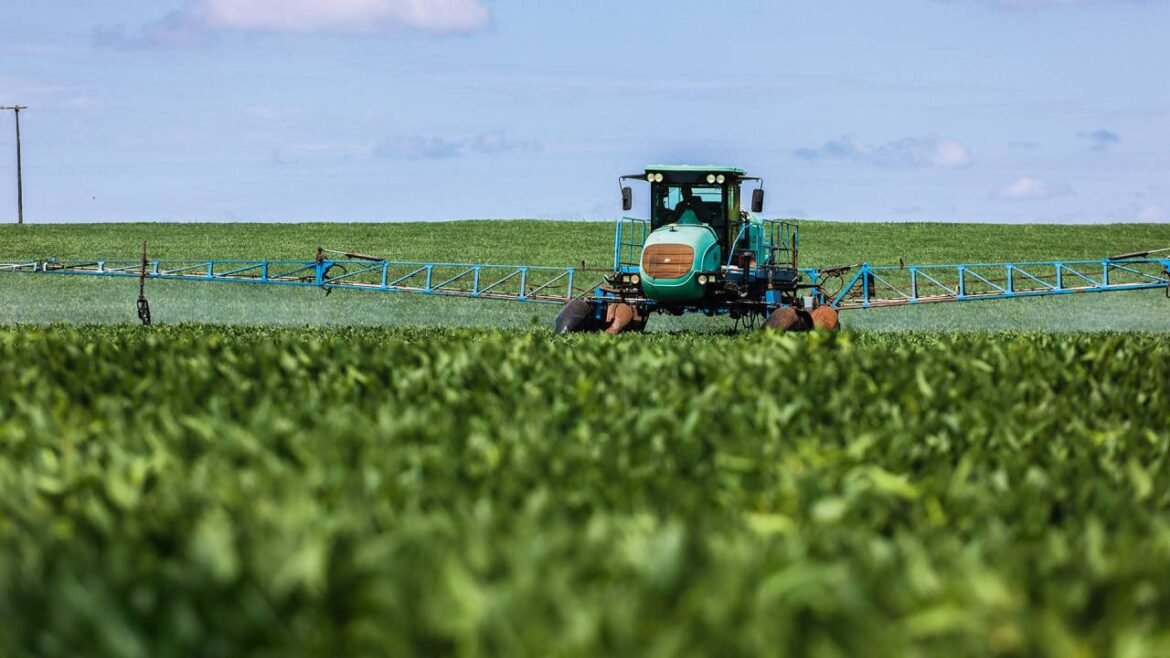 A subestimação do agronegócio por Faria Lima
