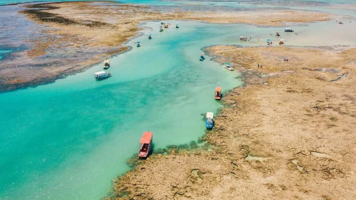 As quatro praias mais limpas do Brasil: três localizadas em ilhas e uma no Sudeste.