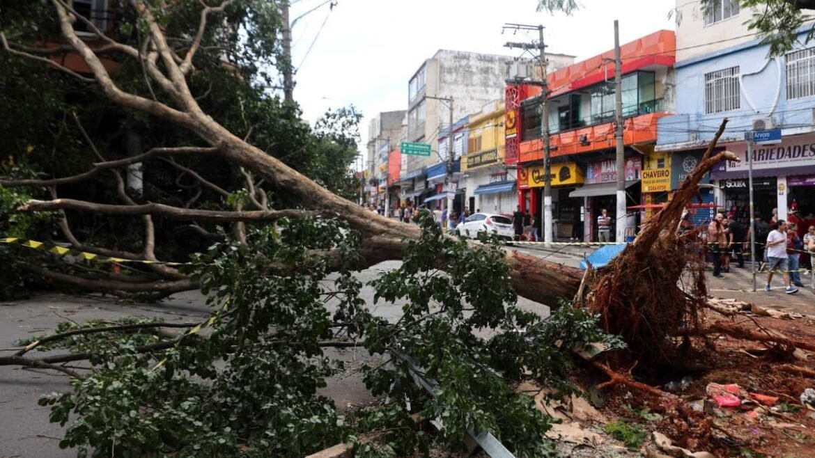 Ficou sem luz? Descubra o preço de um gerador para sua casa.