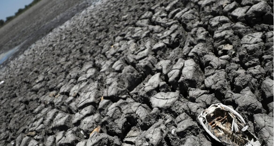 Organização Meteorológica Mundial projeta La Niña em intensidade moderada.