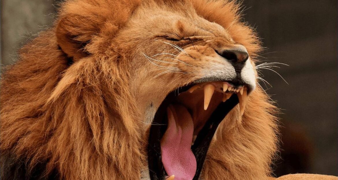 Prazo para aumentar a restituição de 2026 se aproxima do fim; descubra como aproveitar esse benefício!