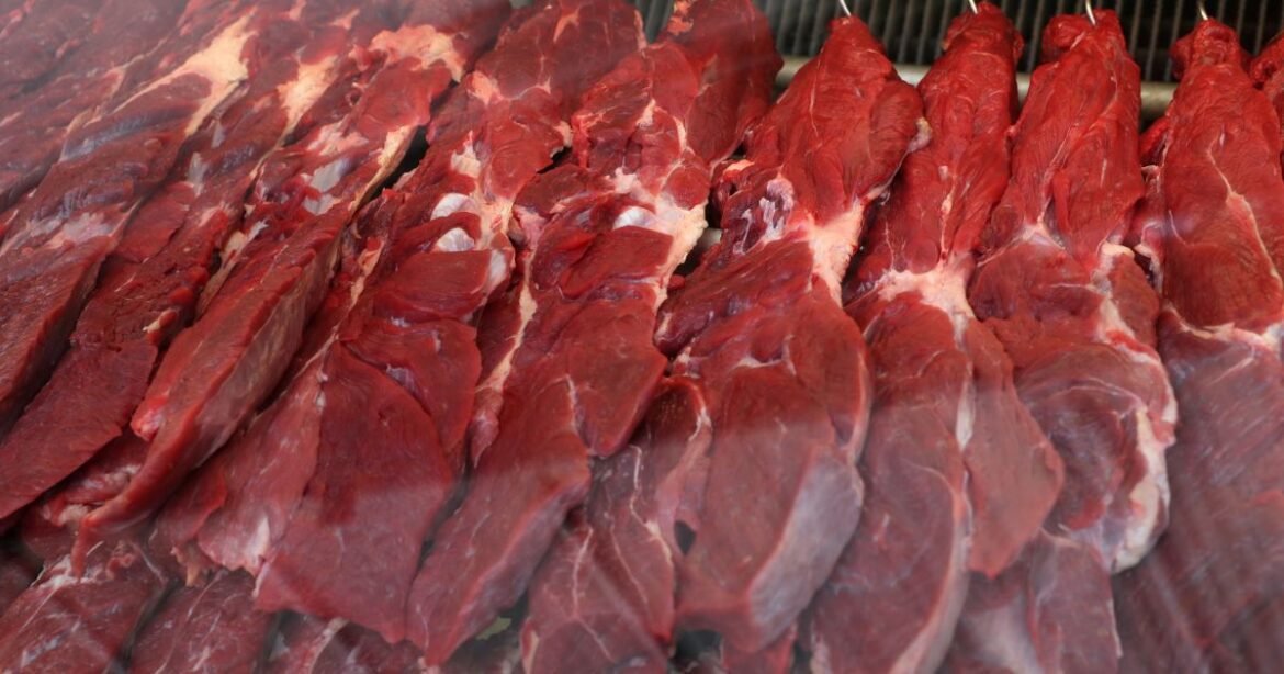Abiec projeta estabilidade nas exportações de carne bovina do Brasil até 2026.