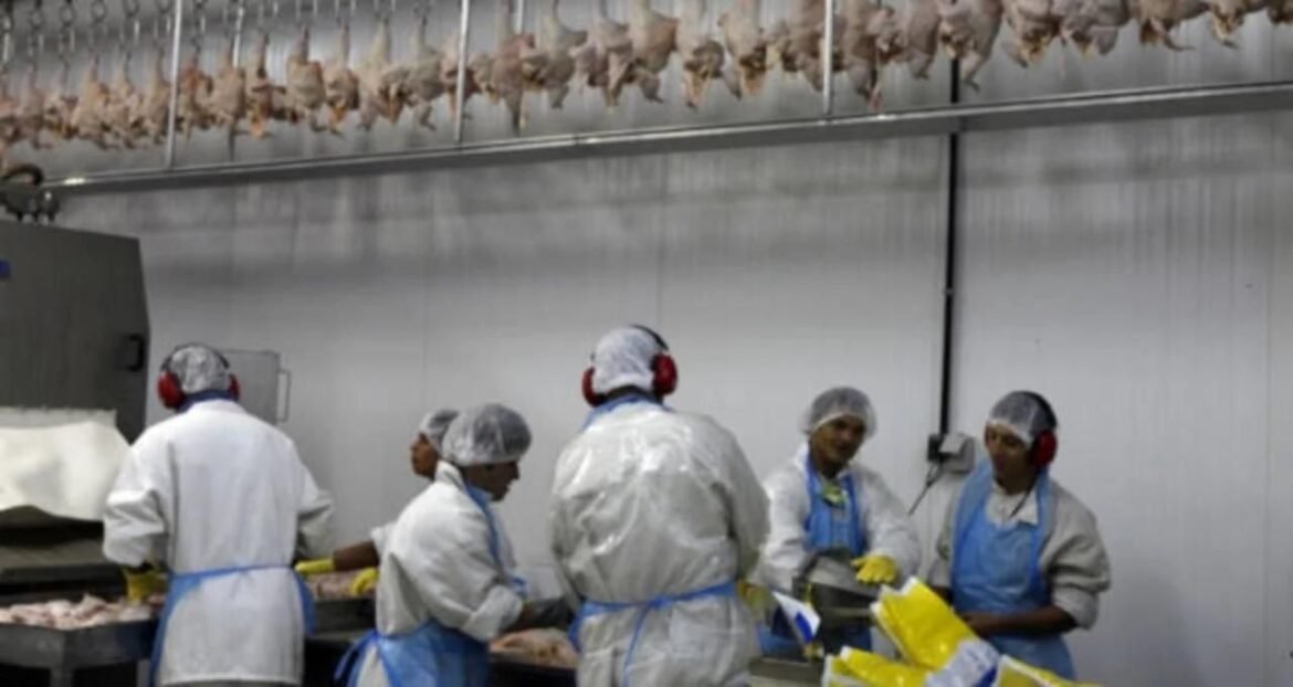 Frigoríficos enfrentam queda em dia de expressiva valorização do Ibovespa; descubra as razões.