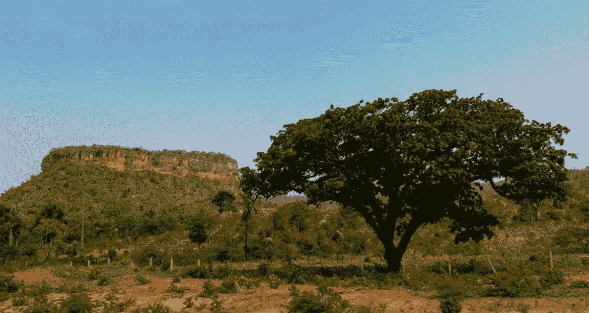 Governo Lula desapropria fazendas em SP, MT, RS, RN e MG para reforma agrária, com área total de 5.554 hectares