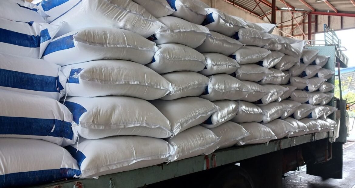 Importação de fertilizantes atinge recorde em 2025; Brasil expande exportações agrícolas