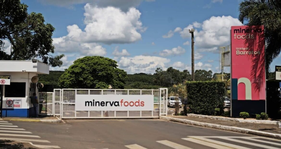Minerva (BEEF3) aprova aumento de capital com a conversão de bônus de subscrição