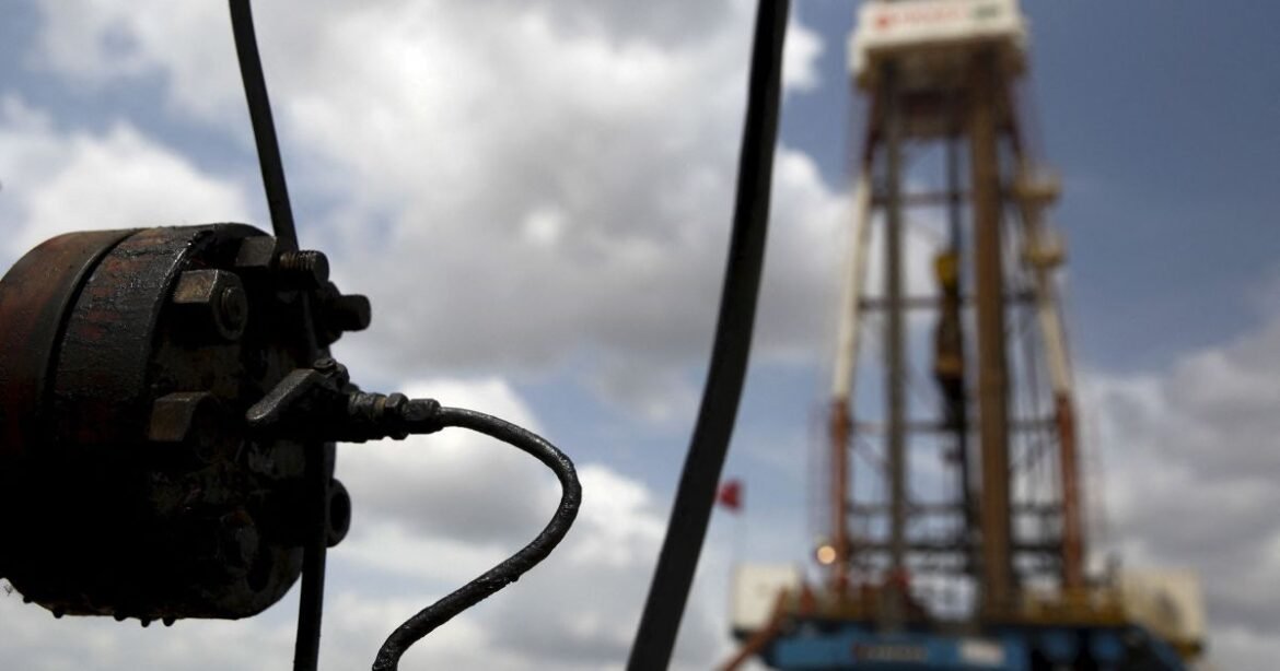 Propostas Diversas para a Reforma Petrolífera da Venezuela