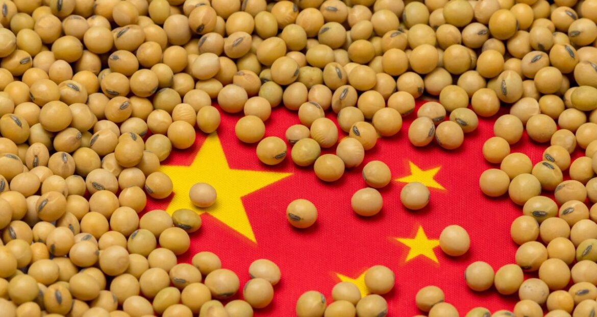 Tarifa chinesa elevada aos EUA promete impulsionar importações de soja do Brasil no 1º semestre