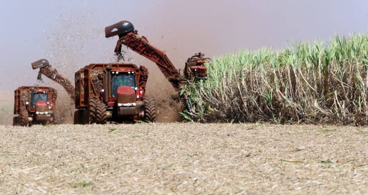 Brasil poderá aumentar sua produção de etanol até 2026, apontam especialistas.