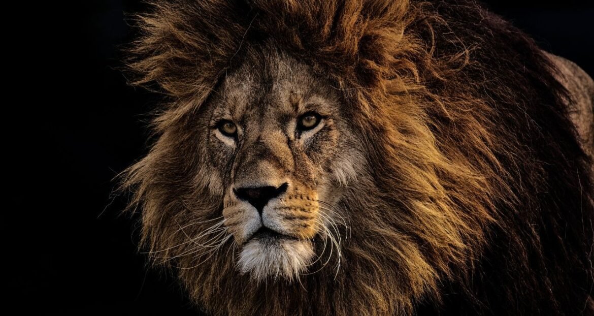 Como declarar contas globais e ativos no exterior conforme a nova 'Lei das Offshores'