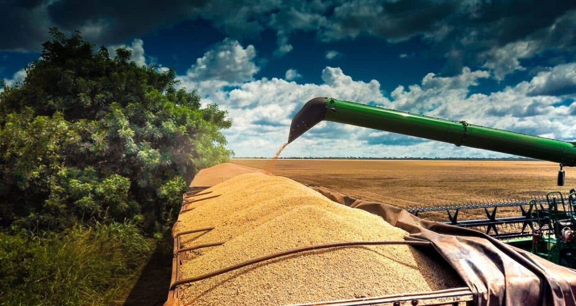 Exportação de soja brasileira desacelera, totalizando 236,7 mil toneladas por dia na primeira semana de fevereiro, segundo Secex.