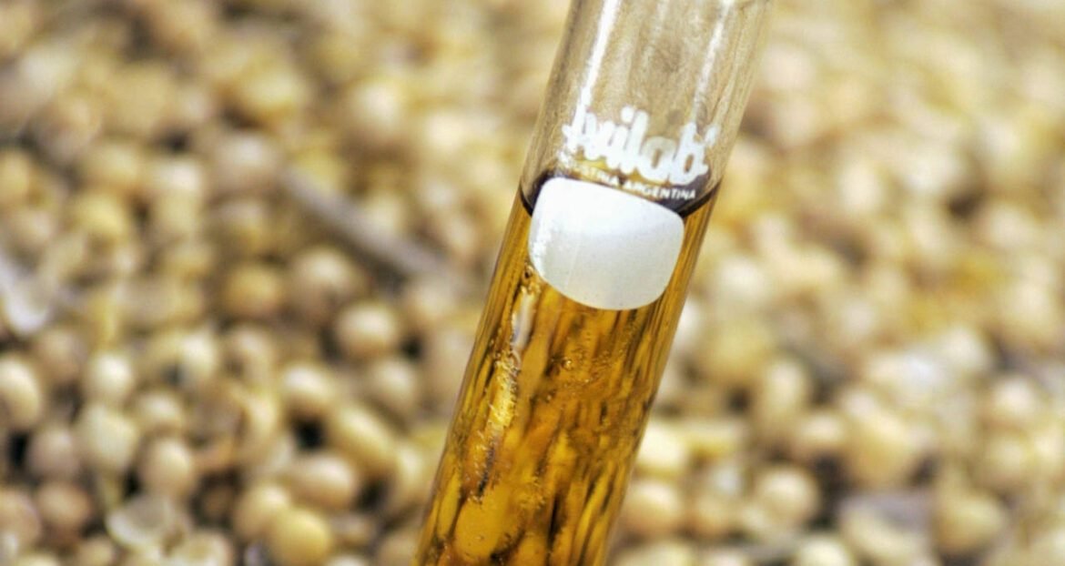 Biodiesel se torna competitivo em relação ao diesel importado enquanto setor agrícola solicita aumento na mistura.