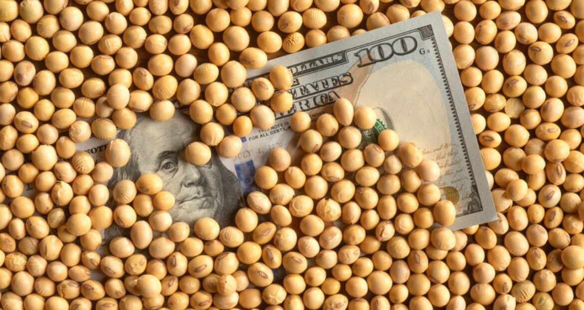 Choques fiscais e de custos impactam a colheita da soja.