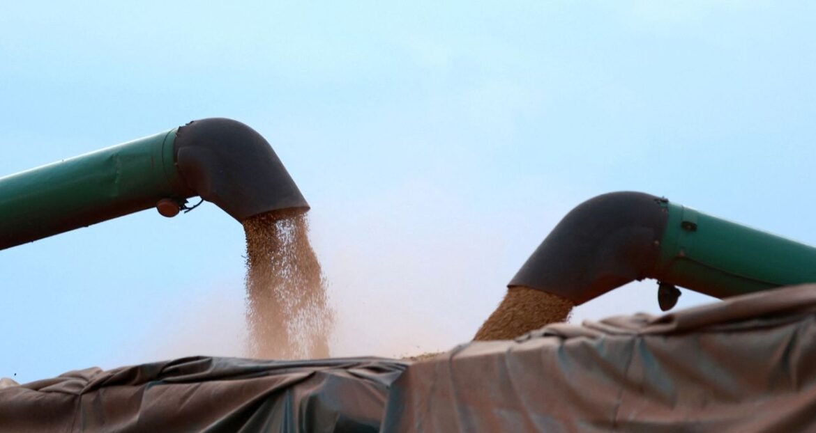 EUA anunciam novas metas de mistura de biocombustíveis para 2026/27