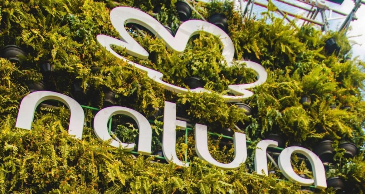 Reestruturação sinaliza novo ciclo e impulsiona preço de referência, afirma BTG.
