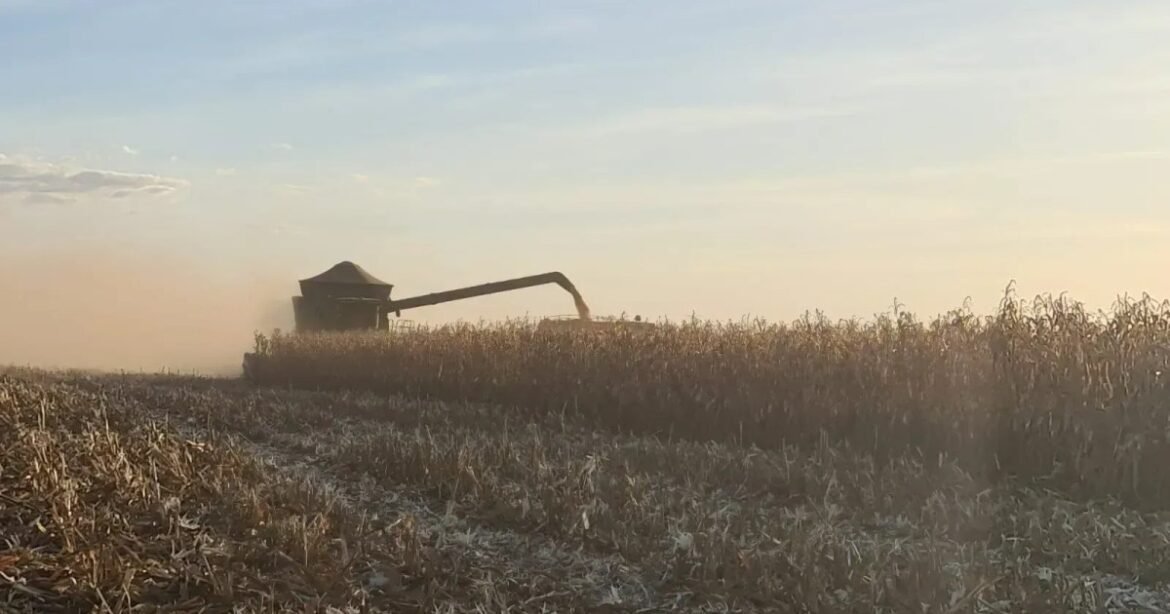 Aumento dos Preços para Produtores no Brasil em Consequência da Conflito no Irã