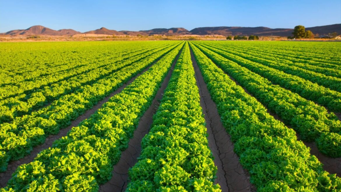 Custos de energia em alta assustam investidores; o 'choque nos preços dos alimentos' pode ser ainda mais grave.