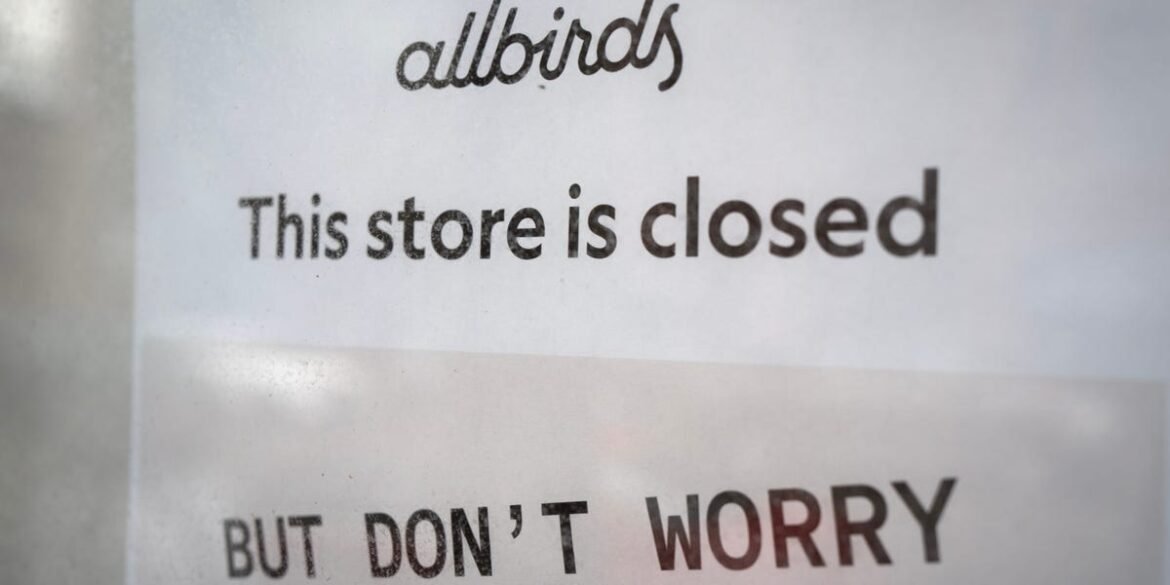 Mudança da Allbirds para Inteligência Artificial Gera Ceticismo entre Especialistas em Investimentos