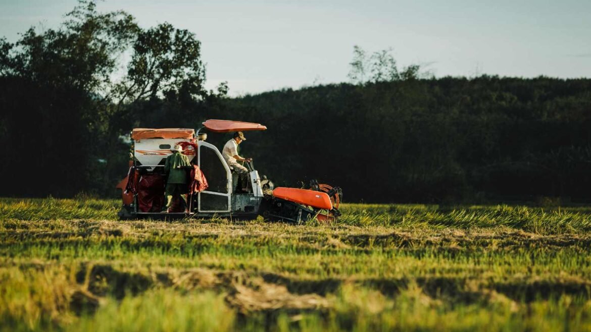 AgroForum Cuiabá: Evento Online e Gratuito Conecta Investidores do Setor Agrícola