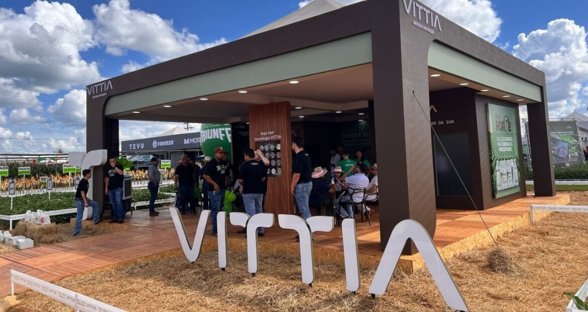BBA reavalia preço-alvo da Vittia (VITT3) após resultados de 2025, mas mantém perspectiva otimista no longo prazo