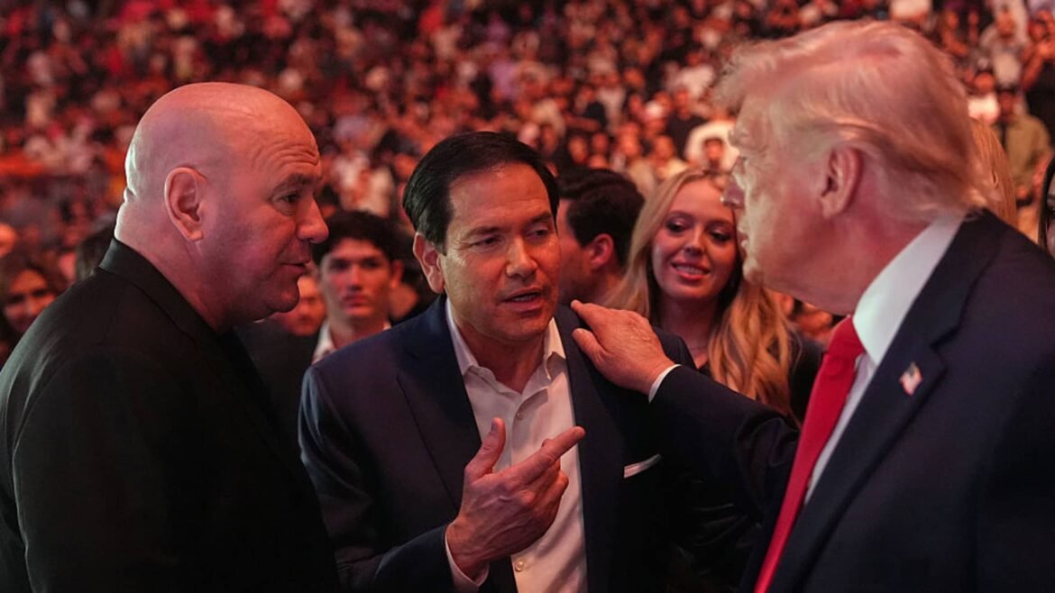Dana White, do UFC, pede a Trump para reverter a lei sobre impostos de jogos de azar