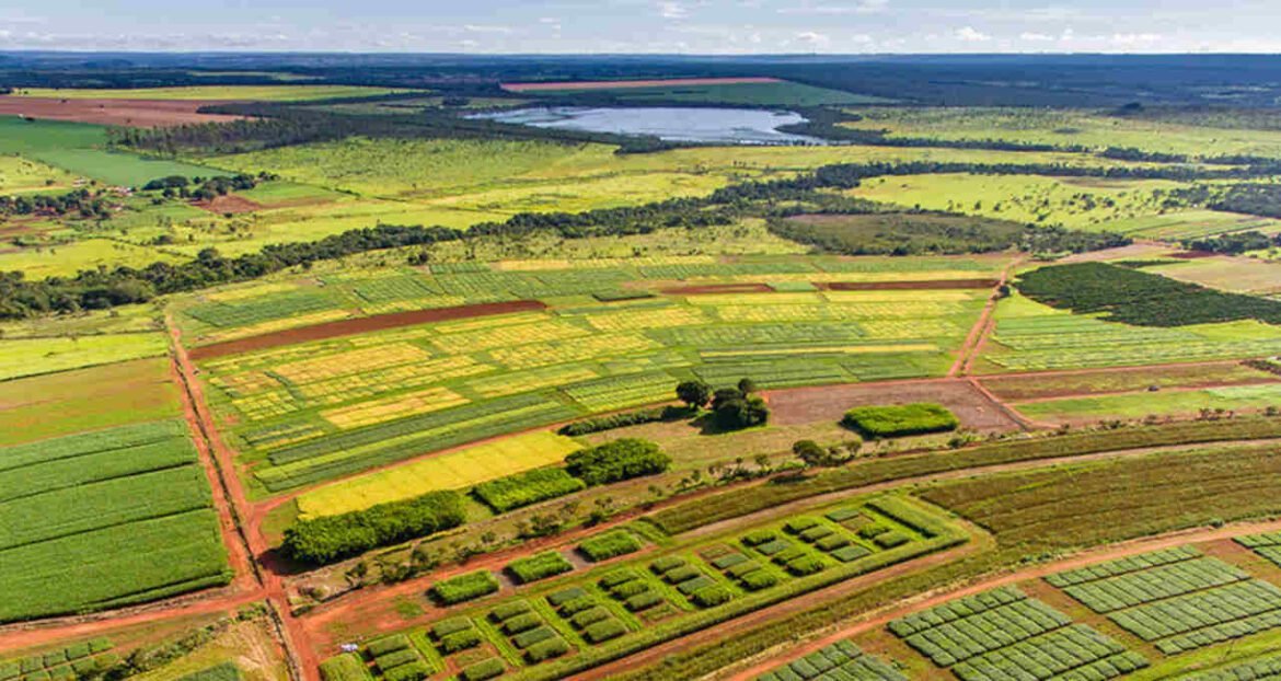 Governo adia decisão que impede empréstimos rurais em áreas desmatadas